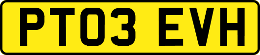 PT03EVH