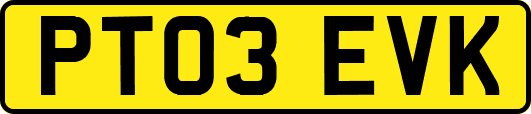 PT03EVK