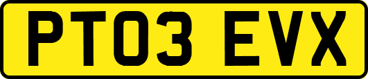 PT03EVX