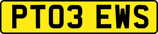 PT03EWS
