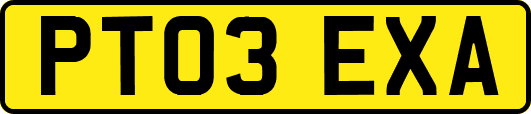 PT03EXA