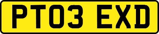 PT03EXD