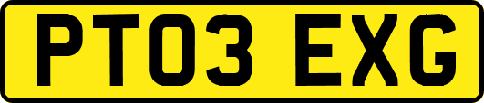 PT03EXG