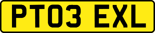 PT03EXL