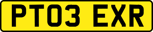 PT03EXR