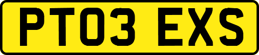 PT03EXS