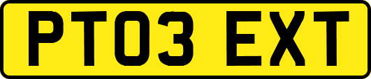 PT03EXT