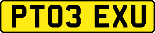 PT03EXU