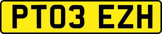 PT03EZH