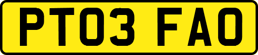 PT03FAO