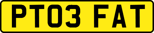 PT03FAT