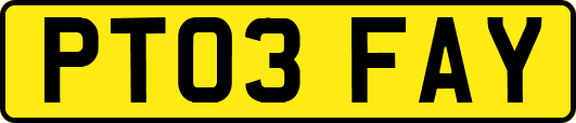 PT03FAY