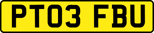 PT03FBU