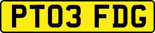 PT03FDG