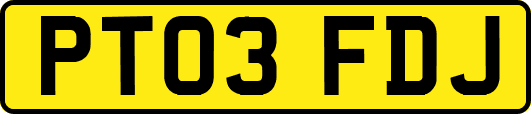 PT03FDJ