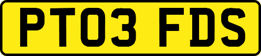 PT03FDS