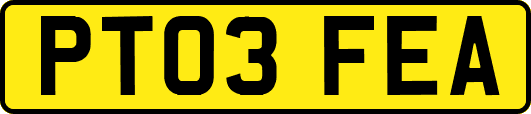 PT03FEA