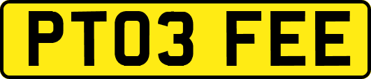 PT03FEE