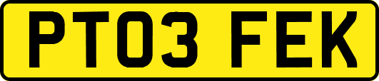 PT03FEK