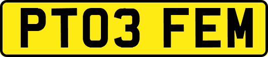 PT03FEM