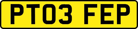 PT03FEP