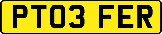 PT03FER