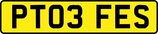 PT03FES