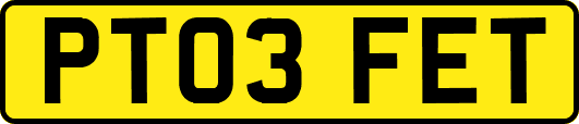 PT03FET