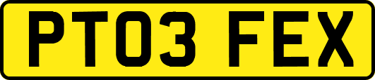 PT03FEX