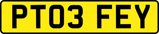 PT03FEY