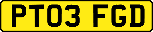 PT03FGD