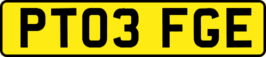 PT03FGE