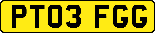 PT03FGG