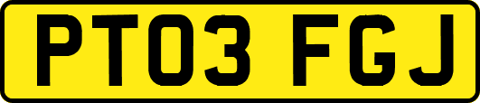 PT03FGJ