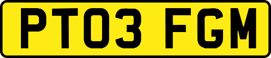PT03FGM