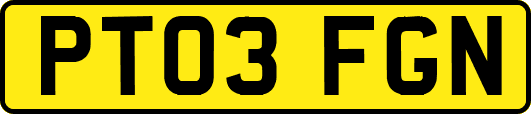 PT03FGN