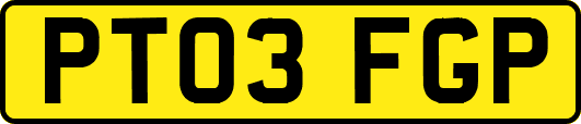 PT03FGP