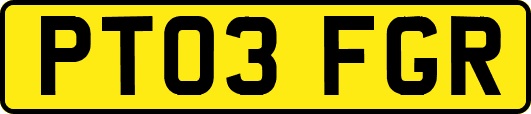 PT03FGR