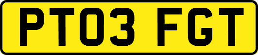 PT03FGT