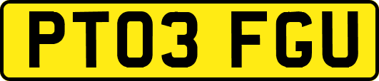 PT03FGU