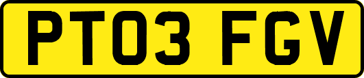 PT03FGV