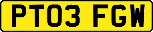 PT03FGW