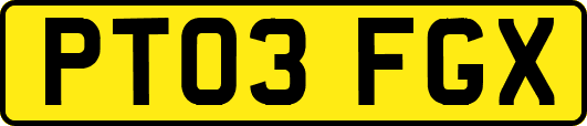 PT03FGX