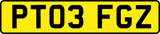 PT03FGZ