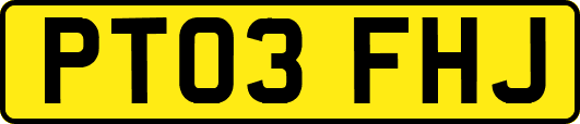 PT03FHJ