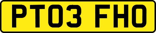 PT03FHO
