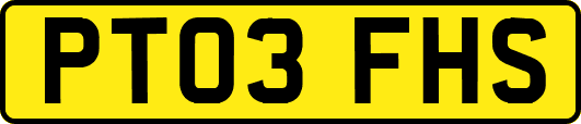 PT03FHS