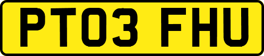 PT03FHU