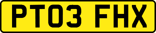 PT03FHX