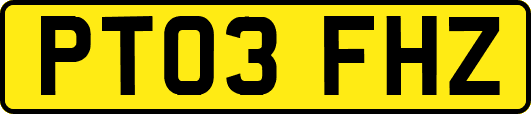 PT03FHZ
